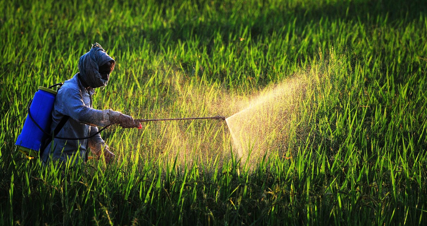 Agricultura